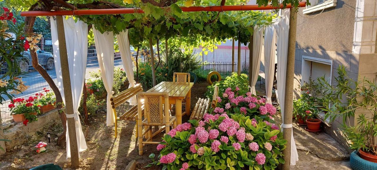 Guest House Nikolovi Lozenec Exteriér fotografie